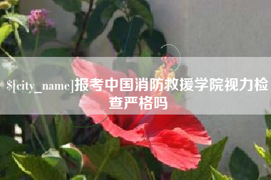 来宾报考中国消防救援学院视力检查严格吗
