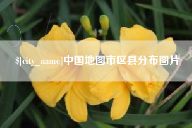 来宾中国地图市区县分布图片