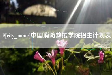 来宾中国消防救援学院招生计划表