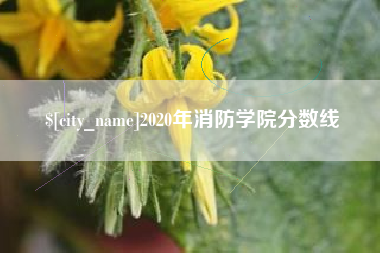 来宾2020年消防学院分数线