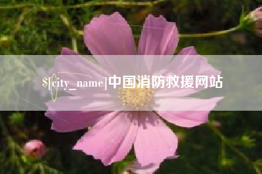 来宾中国消防救援网站