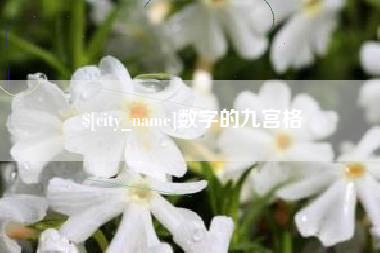 来宾数字的九宫格