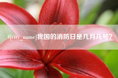 来宾我国的消防日是几月几号？