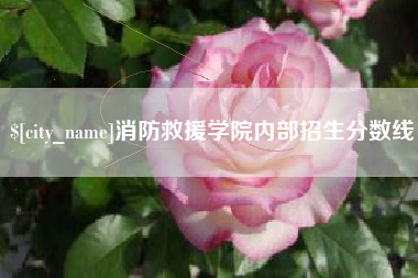 来宾消防救援学院内部招生分数线