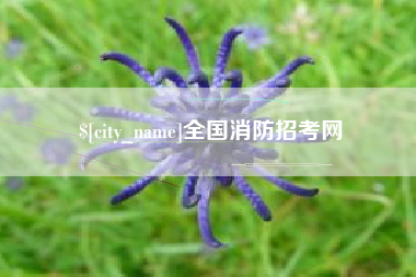 来宾全国消防招考网