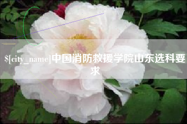来宾中国消防救援学院山东选科要求