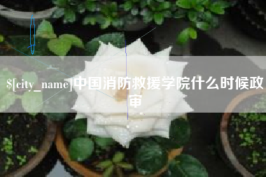来宾中国消防救援学院什么时候政审
