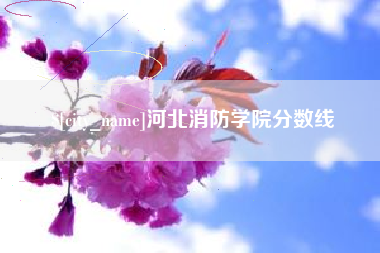 来宾河北消防学院分数线