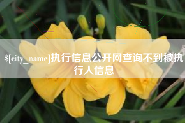 来宾执行信息公开网查询不到被执行人信息