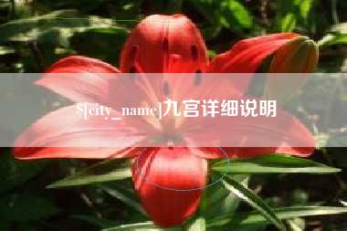 来宾九宫详细说明