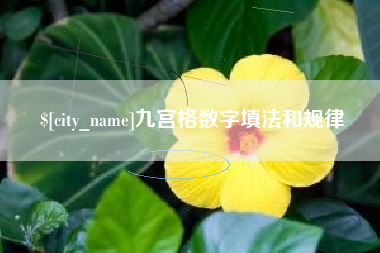 来宾九宫格数字填法和规律