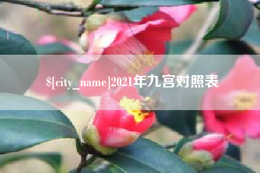 来宾2021年九宫对照表