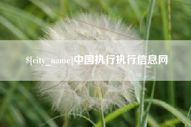来宾中国执行执行信息网