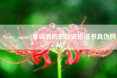 来宾查询消防职业资格证书真伪网站