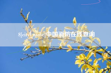 来宾中国消防在线查询