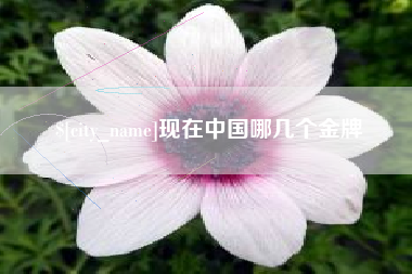 来宾现在中国哪几个金牌