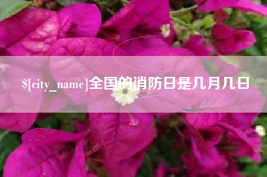 来宾全国的消防日是几月几日