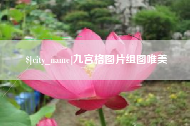来宾九宫格图片组图唯美