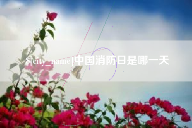 来宾中国消防日是哪一天