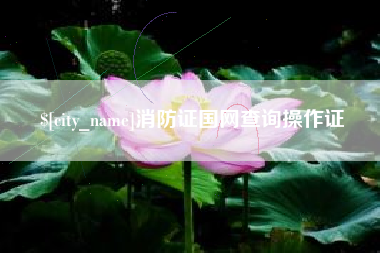 来宾消防证国网查询操作证