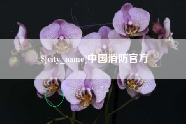 来宾中国消防官方