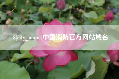 来宾中国消防官方网站域名