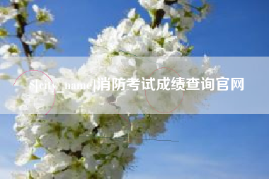 来宾消防考试成绩查询官网