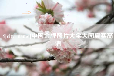 来宾中国金牌图片大全大图真实高清