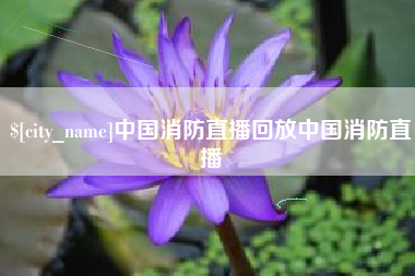 来宾中国消防直播回放中国消防直播