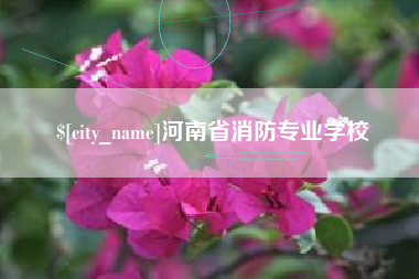 来宾河南省消防专业学校