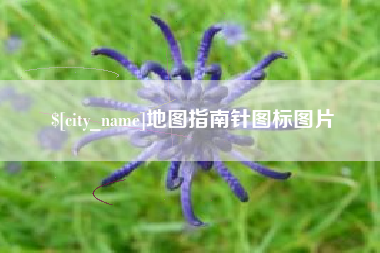来宾地图指南针图标图片