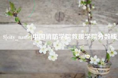 来宾中国消防学院救援学院分数线