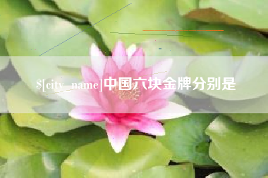 来宾中国六块金牌分别是