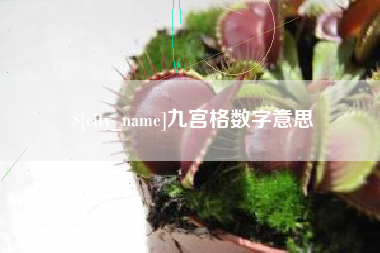 来宾九宫格数字意思