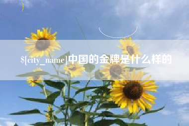 来宾中国的金牌是什么样的