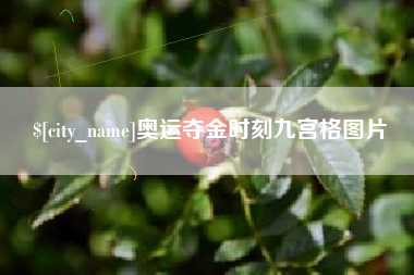 来宾奥运夺金时刻九宫格图片