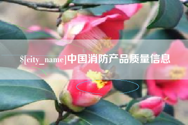 来宾中国消防产品质量信息