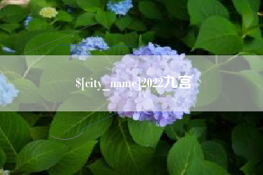 来宾2022九宫