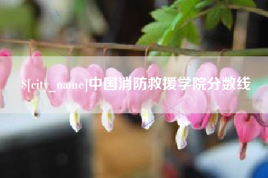 来宾中国消防救援学院分数线