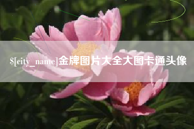 来宾金牌图片大全大图卡通头像