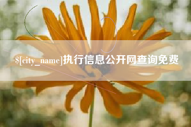 来宾执行信息公开网查询免费