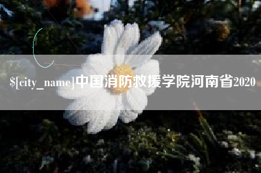 来宾中国消防救援学院河南省2020